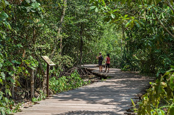 A mangrove boardwalk in the Chek Jawa Wetlands.