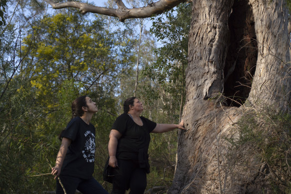 Gundungurra traditional owners Kazan Brown (right) and her daughter Taylor Clarke, with a scar tree on land that would be inundated by floodwater at Burnt Flat if the Warragamba Dam wall were raised. 