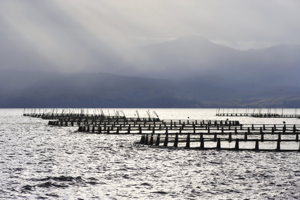 A salmon farm in Tasmania.