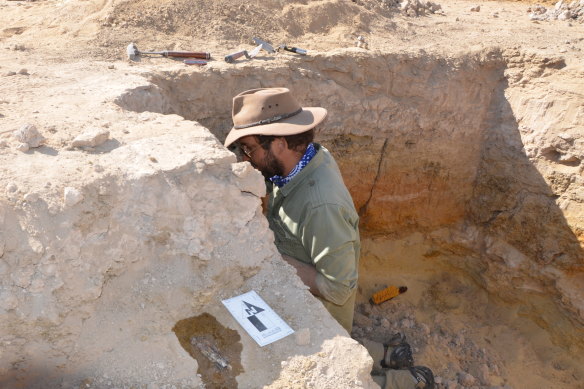 Palaeontologist Julien Louys from Griffith University examines sediment layers at the dig site.