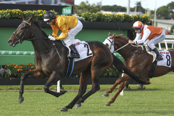 Flying Crazy has too good on a firm track in the Daybreak Lover Stakes at Eagle Farm earlier this month.