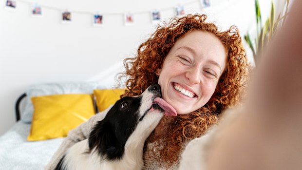 A lick from a dog can expose teenagers to bacteria which then alters their microbiome. Those in the study were found to have better mental health.