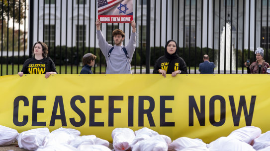 Protesters call for a ceasefire outside the White House on November 15.