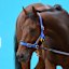 Hopewell Rock has come into Melbourne Cup calculations.
