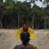 Amazon deforestation rises sharply