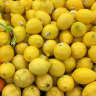 The bitter truth: why are lemons so expensive right now?
