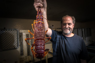 Victorian Rock Lobster Association president Markus Nolle says shoppers want to support the local industry.