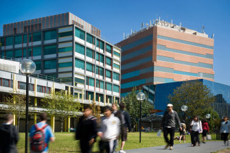 Australia's universities have agreed on a framework for cutting staff pay and hours in exchange for saving jobs.
