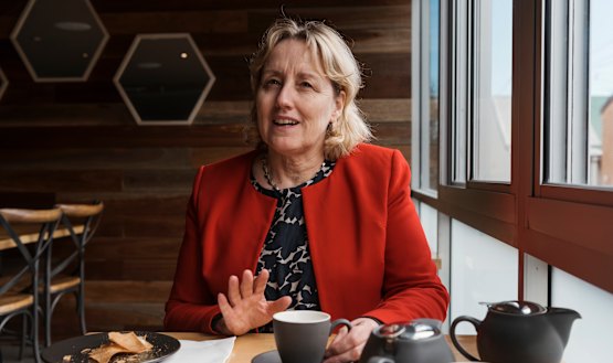 Dr Teresa Anderson oversees 12,000 staff as chief executive of the Sydney Local Health District.