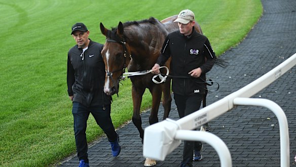 Waller, left, walks with the current star of his stable Via Sistina.