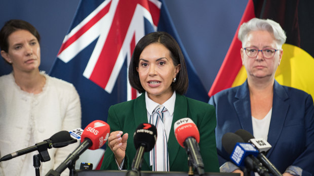 Deputy Premier Prue Car with Housing Minister Rose Jackson (left) and Environment Minister Penny Sharpe on Friday.