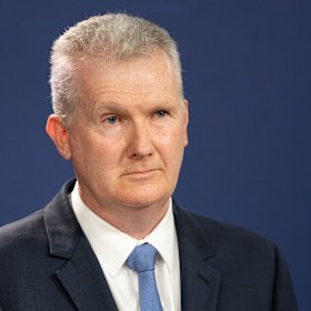 New minister for the arts, Tony Burke. 