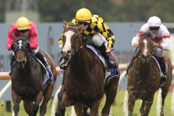 Mallory wins the Widden Stakes at Rosehill in January.