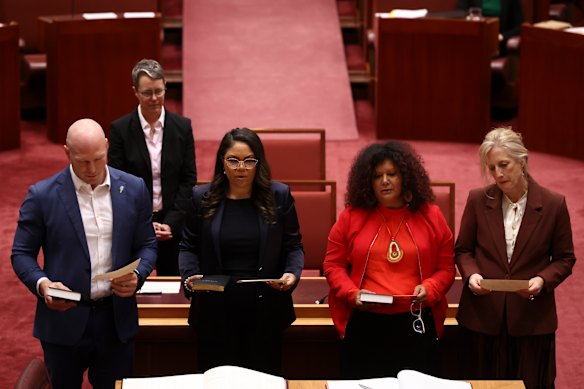 David Pocock, left, alongside other senators in the Senate today. 