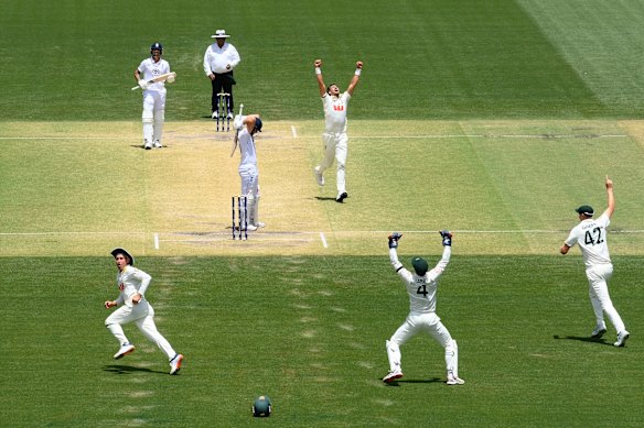 Mitchell Starc celebrates after taking the wicket of Will Jacks.