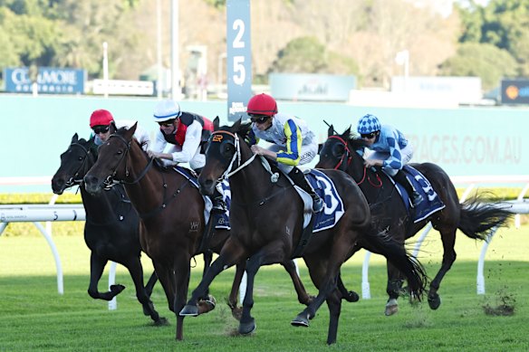 Loch Eagle winning at Randwick on June 7.