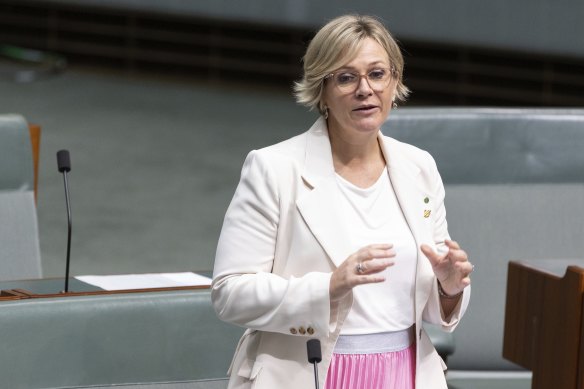 Member for Warringah Zali Steggall.