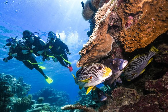 Tourist centres such as Cairns, a jumping off point for the Great Barrier Reef, have suffered heavily due to the coronavirus pandemic. A special assistance package is due to be released within days.