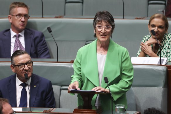 Outgoing Labor MP for Calwell Maria Vamvakinou.