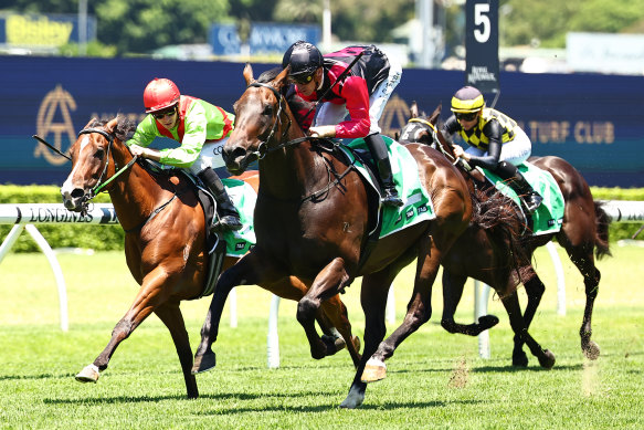 Gallant Star typically runs well at Randwick. 