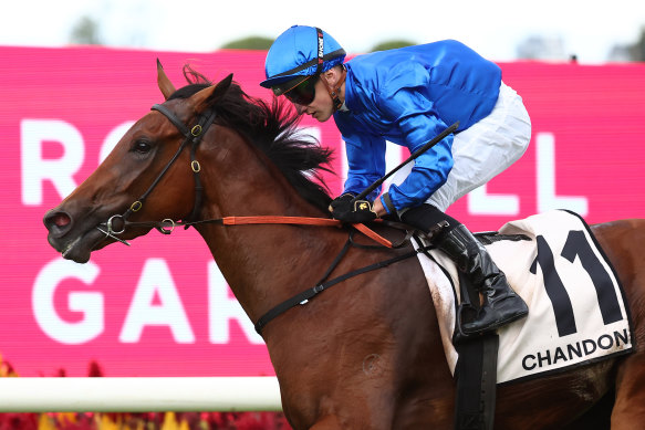 Godolphin star filly Zardozi will be a punters’ favourite in the Vinery Stud Stakes at Rosehill on Saturday.