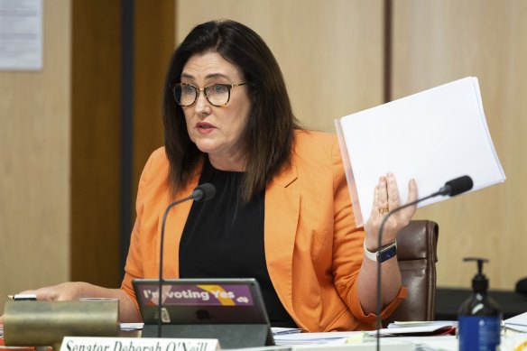 Senator Deborah O’Neill says the senate report highlights Senator Deborah O’Neill said the latest report highlights the ongoing failures of leadership at PwC. 