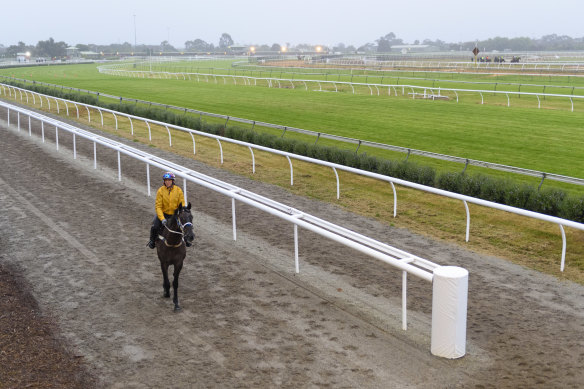 There has been a COVID-19 outbreak at the racing centre in Cranbourne.