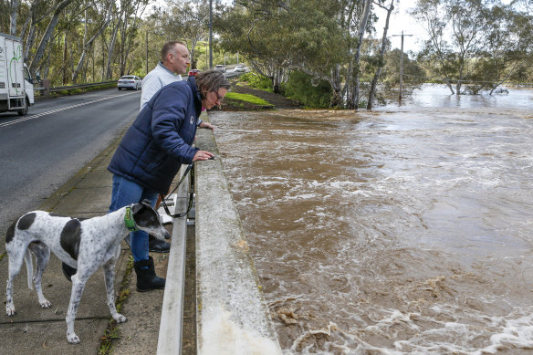 Barry Webster and Tanya Gridley watch the Maribyrnong River rise in Keilor.