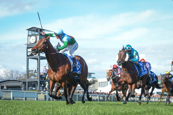 Tuvalu, ridden by Jarrod Fry, wins the Toorak Handicap at Caulfield Racecourse. 