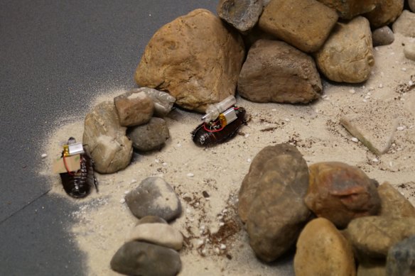Cyborg cockroaches can traverse complex, rubble-strewn environments better than robots.