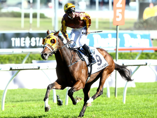 Tavago winning the 2016. The gelding’s sister, Sanstoc, will make her debut on Wednesday.