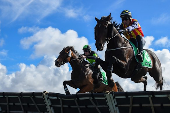 Jumps racing in Warrnambool last year. 