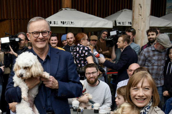 Transport Minister Jo Haylen (right) with Kieren Ash, who is sitting with a dog, and Prime Minister Anthony Albanese the morning after the federal election last year.