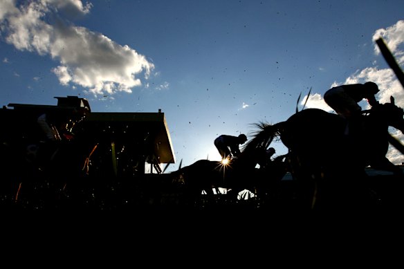 There is a seven-race card at Taree on Tuesday.