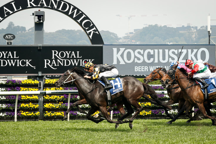 Major Horse Racing Events 2022