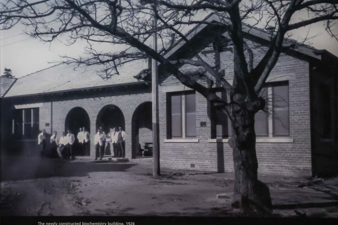 Post image 17