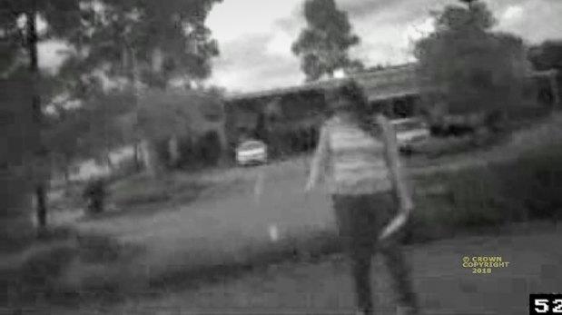 Taser footage of the incident shows Ms Topic clutching a knife.