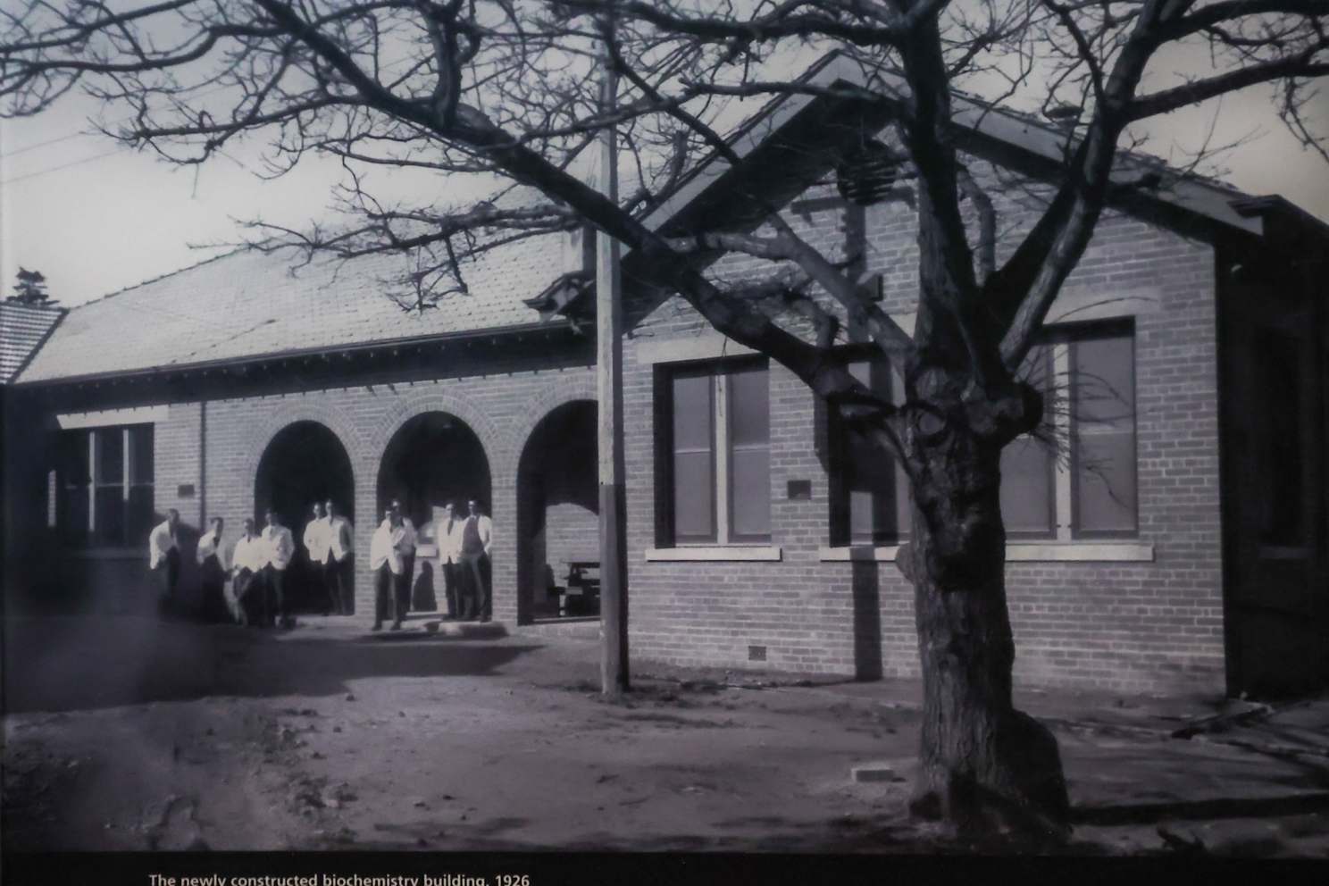 Post image 6
