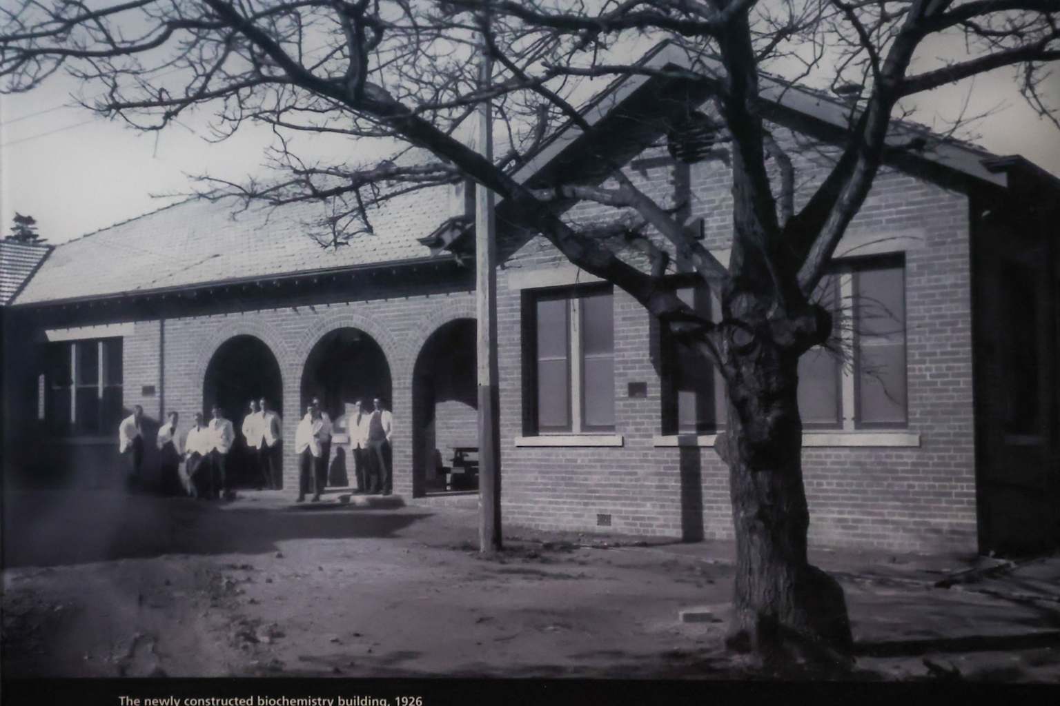 Post image 7
