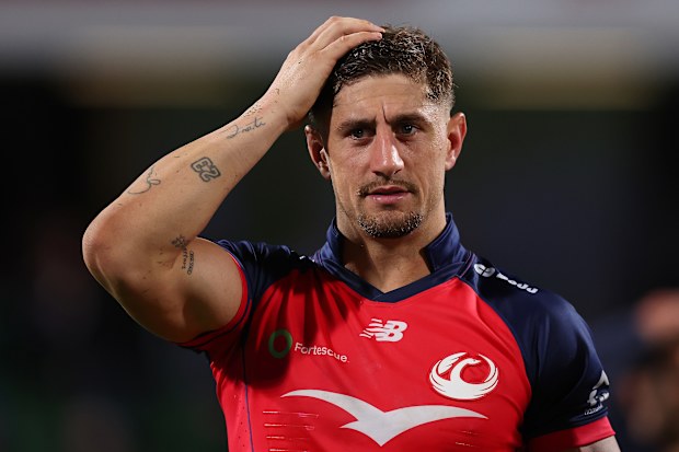 Rugby news 2026 | Predicted Wallabies squad for Ireland Test, Joe ...