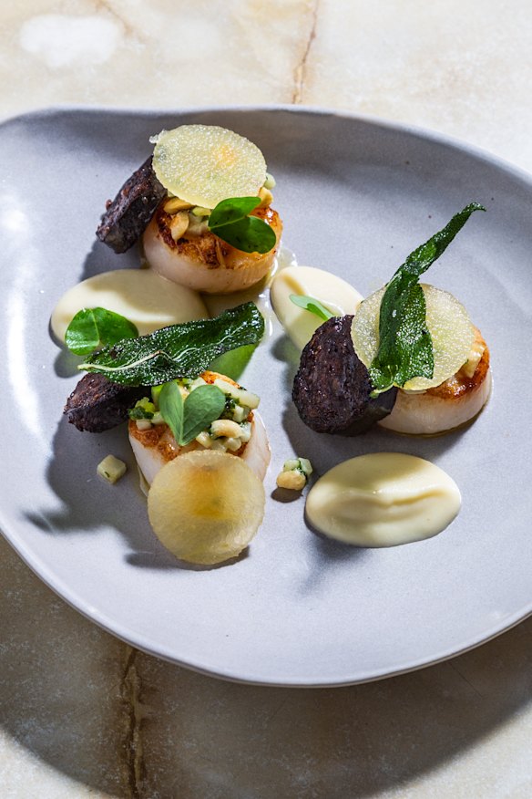 Seared scallops with celeriac, pickled green apple, morcilla and hazelnuts. 