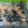 E-bike charger sparks Darlinghurst house fire as blaze destroys Sydney factory