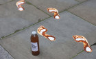Dirty water from the River Doce is left outside the London court where the class action is being heard.