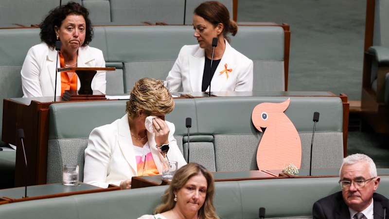 Parliament weeps for Helen Haines, but the tribal warfare hasn't stopped