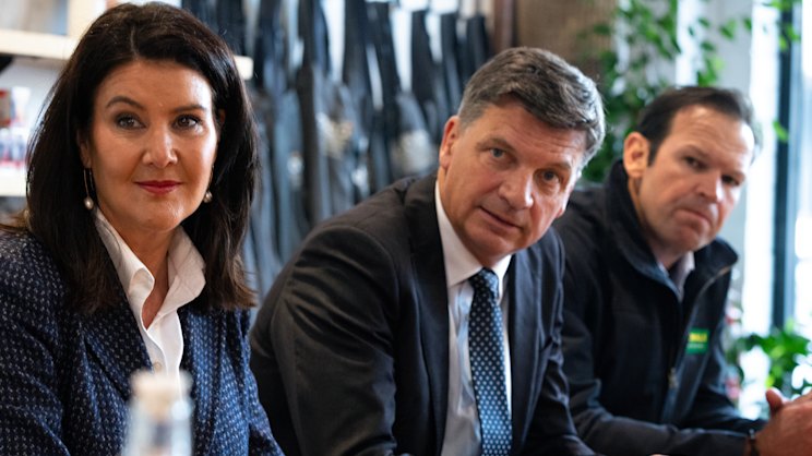 smh.com.au - Brittany Busch - Coalition divisions multiply over latest classroom culture war