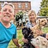 Second home: House-sitters Glenn and Jacqueline Lamb in Devizes, England, with dogs Chips, Beans and Kipper.