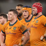 ‘I don’t think there’s anything in our game that’s world class’: Fisher pleads for patience in Wallabies rebuild