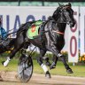 Morris still has faith in Funky Monkey for Inter Dominion despite galloping issue