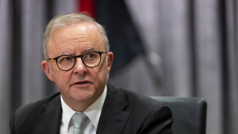 Australia news LIVE: Albanese could put US cattle back on table; Musk loses $52 billion in one day as Trump feud boils over