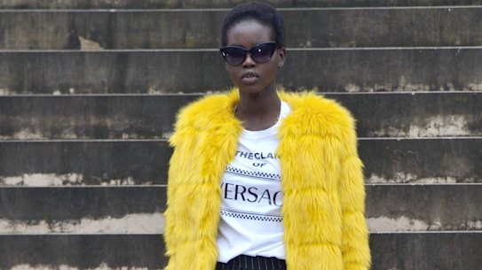 Where are we at in the fur debate?